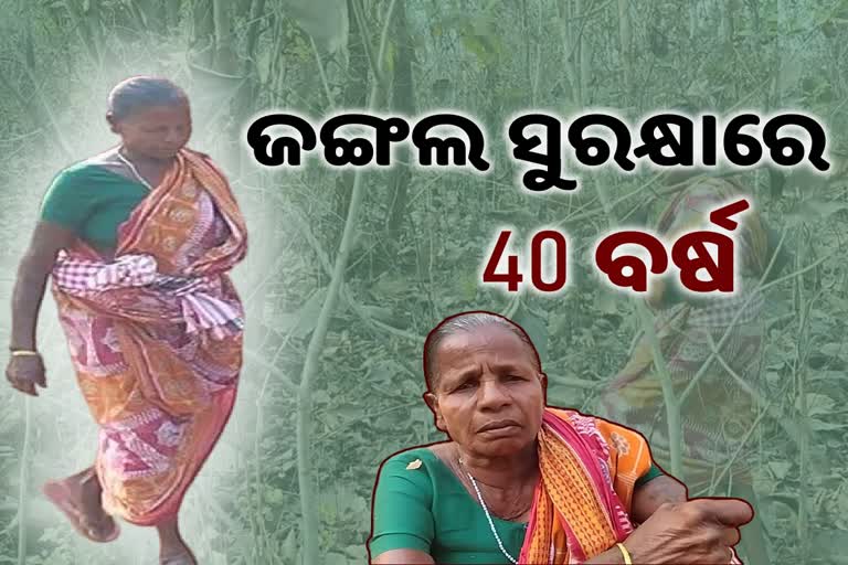 tribal woman hiradri majhi created forest