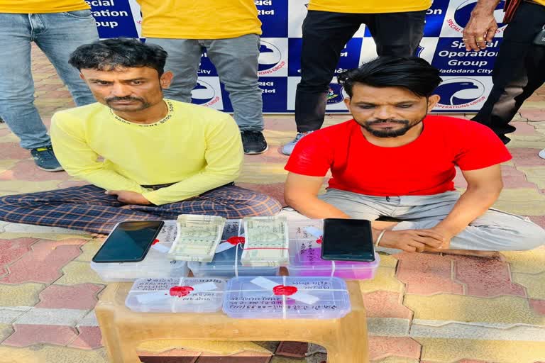 Vadodara Drugs Crime : એસઓજીએ મુંબઈના ડ્રગ્સ સપ્લાયર સાથે વડોદરાના ઇસમને ઝડપ્યો, 29 લાખનું ડ્રગ્સ પકડાયું