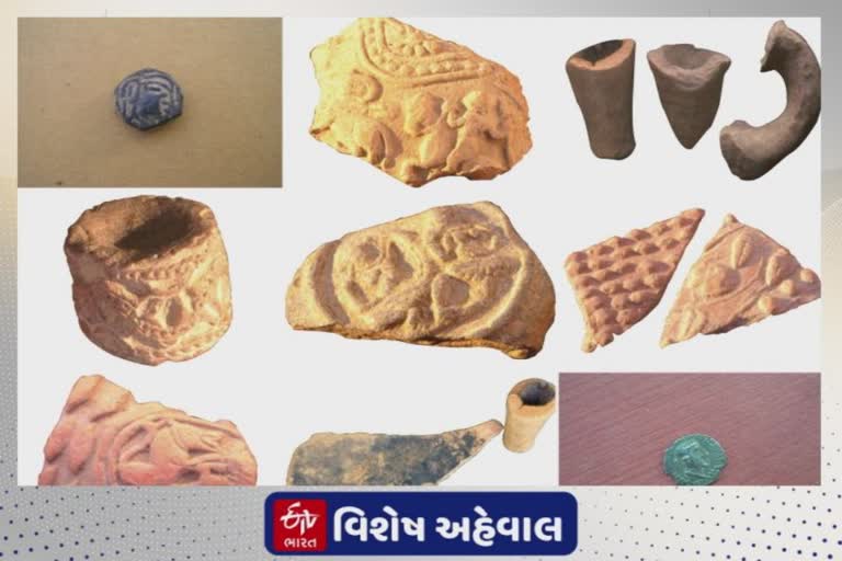 Kutch University Vasa Gallery : તબીબે  40 વર્ષ ભેગાં કર્યાં અમૂલ્ય અવશેષો, દાન કરતાં કચ્છ યુનિવર્સિટીમાં બનશે રિસર્ચ સેન્ટર