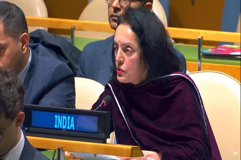 Territory of Afghanistan should not be used for financing terrorist acts: India at UNSC