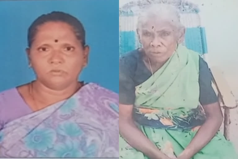 women kills her mother in law  scold her for not giving hot tea  women kills her mother in law for not giving tea  tamilnadu palaniammal death  murder  women murder mother in law  latest national news  old women death  death rate in india  ചൂട് ചായ നല്‍കാത്തതിനെ തുടര്‍ന്ന് ശകാരിച്ചു  ഭര്‍തൃമാതാവിനെ കൊലപ്പെടുത്തി മരുമകള്‍  തമിഴ്‌നാട്ടിലെ പുതുക്കോട്ടെ ജില്ല  മാനസിക വെല്ലുവിളി നേരിടുന്ന മരുമകള്‍  വയോധികയെ സംഘം ചേര്‍ന്ന് കൊലപ്പെടുത്തി  മാംസം കൈയ്യില്‍ കരുതി  മോഷണ ശ്രമം ആരോപിച്ചു  തമിഴ്‌നാട് ഏറ്റവും പുതിയ വാര്‍ത്ത  ഇന്നത്തെ പ്രധാന വാര്‍ത്ത  ഏറ്റവും പുതിയ ദേശീയ വാര്‍ത്ത