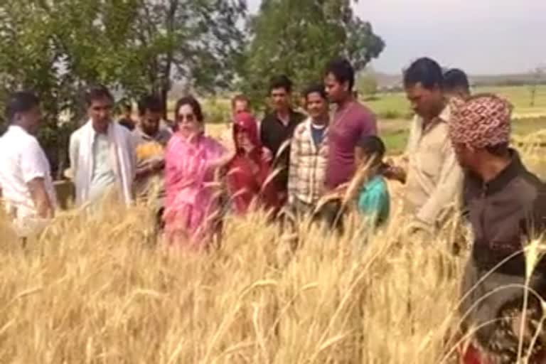 MP Vidisha collector with MLAs went field