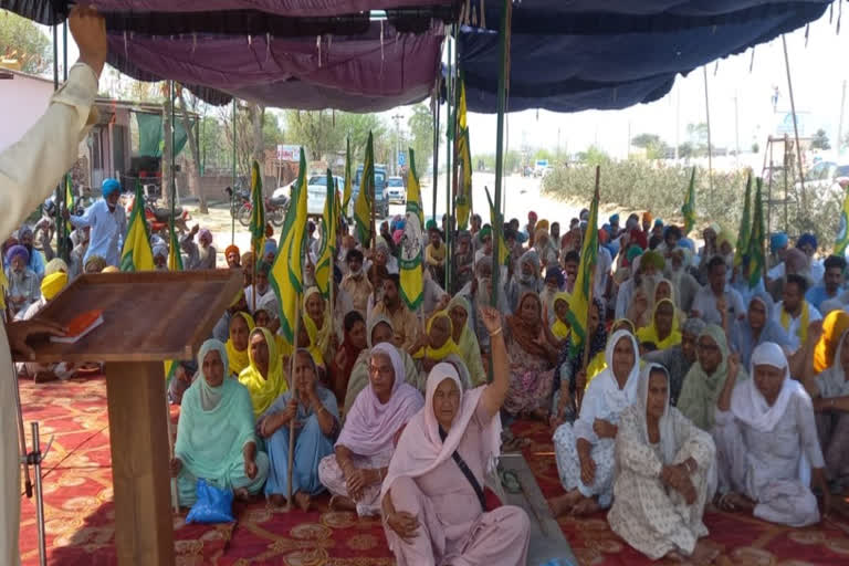 Farmers protested against the main road in Barnala