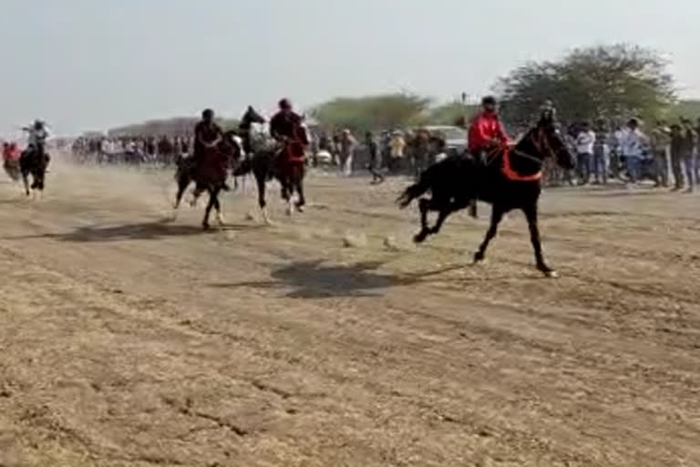 Traditional horse race in Jamnagar