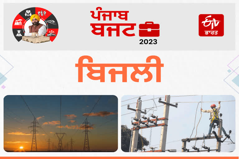 Punjab electricity Budget