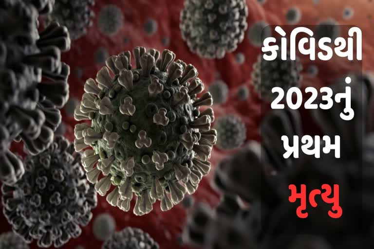 Gujarat Corona Update: ગુજરાતમાં 24 કલાકના કોવિડના 30 કેસ, અમદાવાદમાં સૌથી વધુ