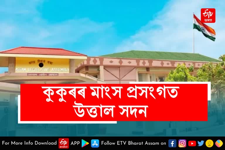 Assam assembly budget session