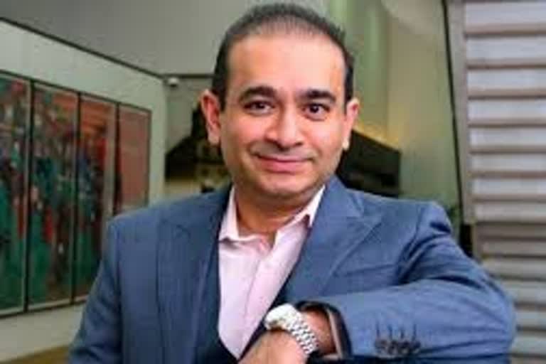 Nirav Modi