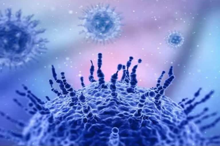 H3N2 influenza virus