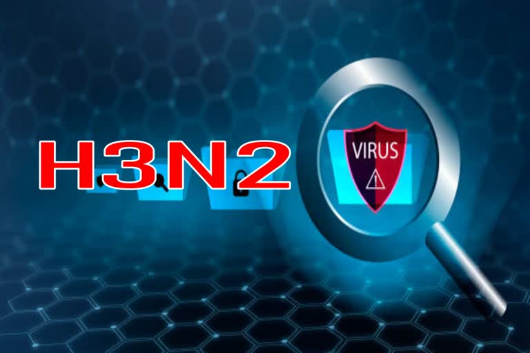 H3N2 Virus