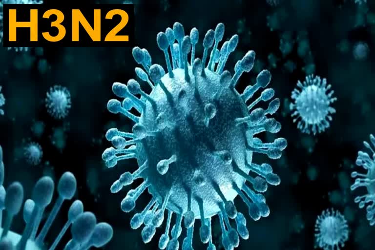 H3N2 influenza