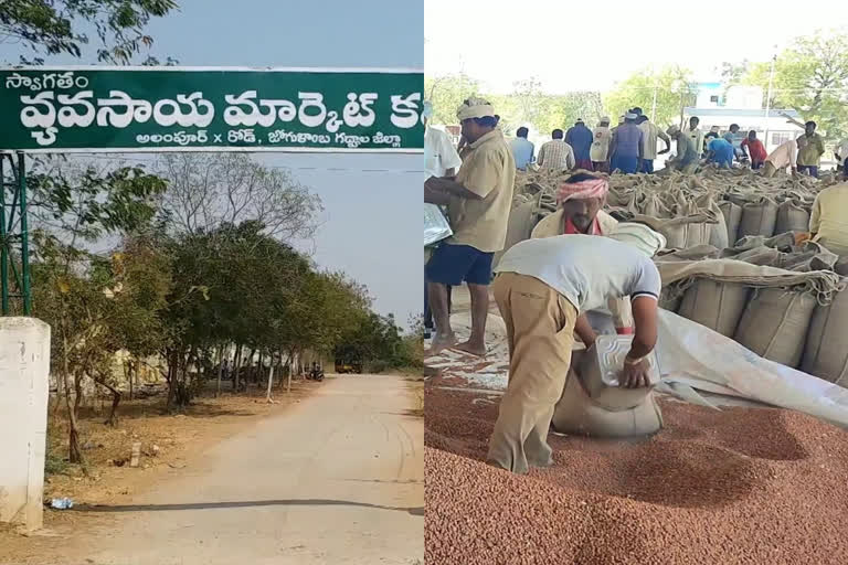 పప్పుశనగ రైతు