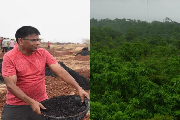 jhabua ips jain changed barren hill into greenery