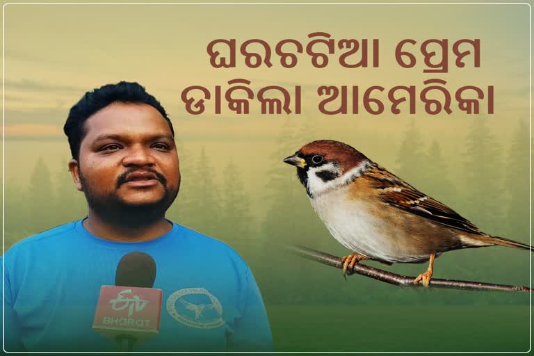 sagar patra protecting sparrow bird