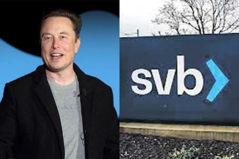 twitter ceo elon musk buy silicon valley bank