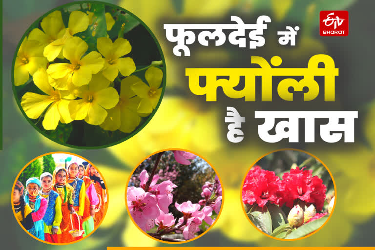 Phool Dei festival Uttarakhand