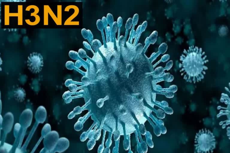 Symptoms of H3N2