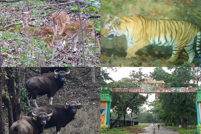 Achanakmar Tiger Reserve