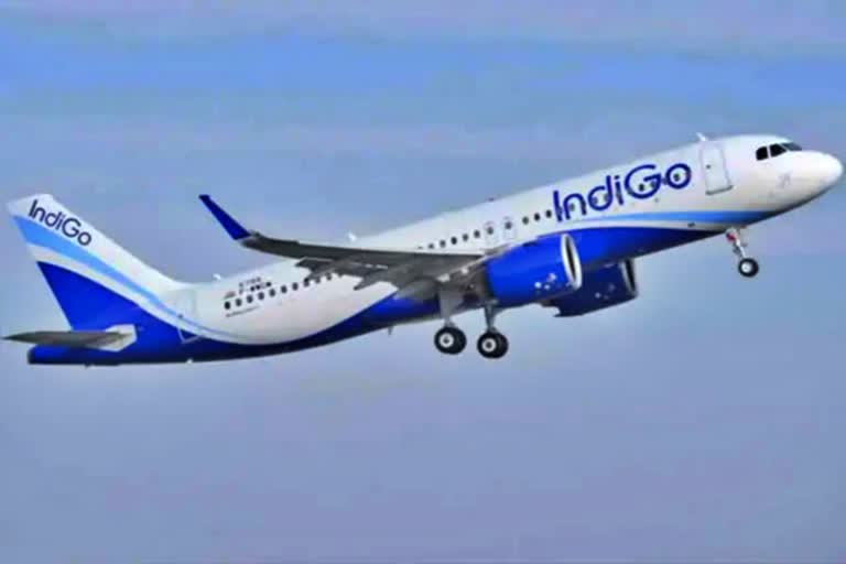 Indigo flight