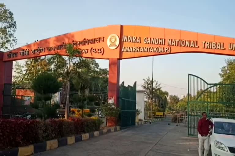 इंदिरा गांधी राष्ट्रीय जनजातीय विश्वविद्यालय