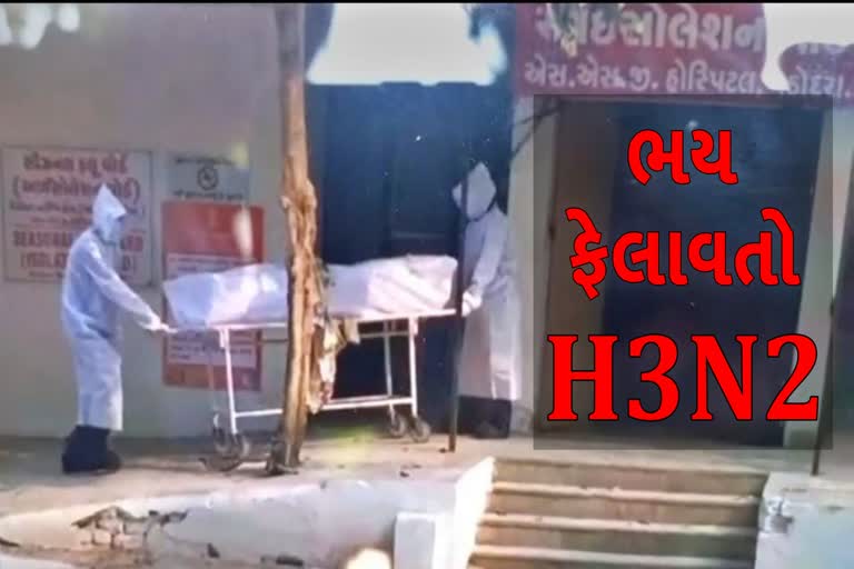 H3N2 first death in gujarat: H3N2 વાયરસથી મોતની સંભાવના, રાજ્યમાં 58 વર્ષીય મહિલાનું શંકાસ્પદ મોત