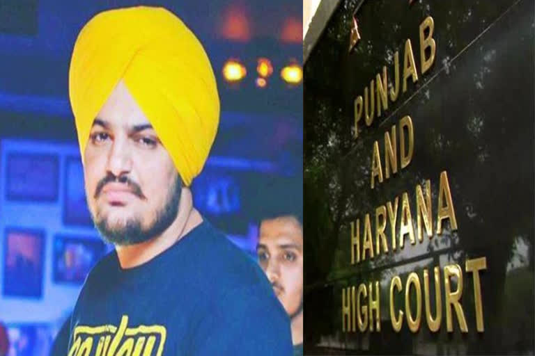 Sidhu Musewala's parents can approach the High Court for justice