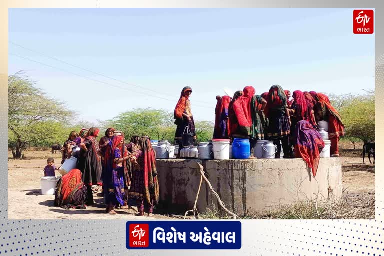 Water Crisis: હર ઘર જળની વાતો કરતી સરકાર આજે પણ કચ્છના બન્ની વિસ્તારમાં નથી પહોંચાડી શકી પાણી, લોકોની દયનીય હાલત