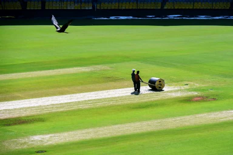 Indore Holkar Stadium Pitch