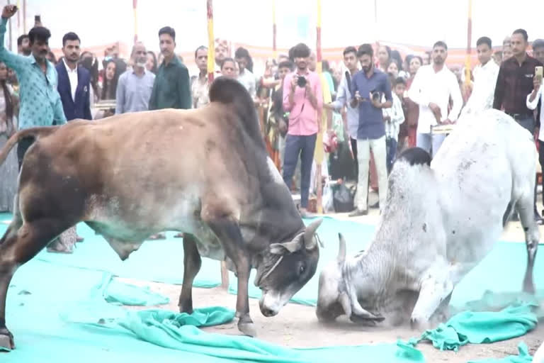 போர்க்களமாக மாறிய திருமண மண்டபம்