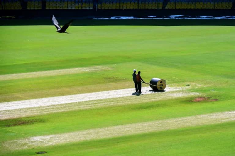 Holkar Stadium Pitch