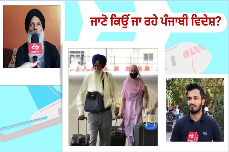 What are the reasons for Punjabis to go and settle abroad?