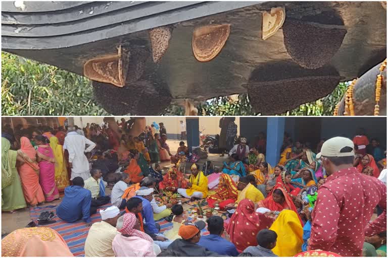 Giridih Haridham Shiv Temple