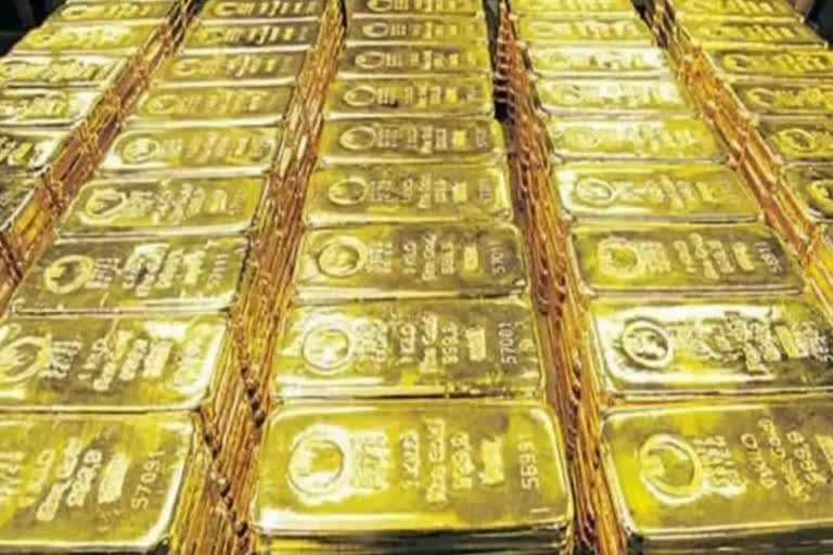 Cattle smugglers along Indo-Bangla border use gold for payment