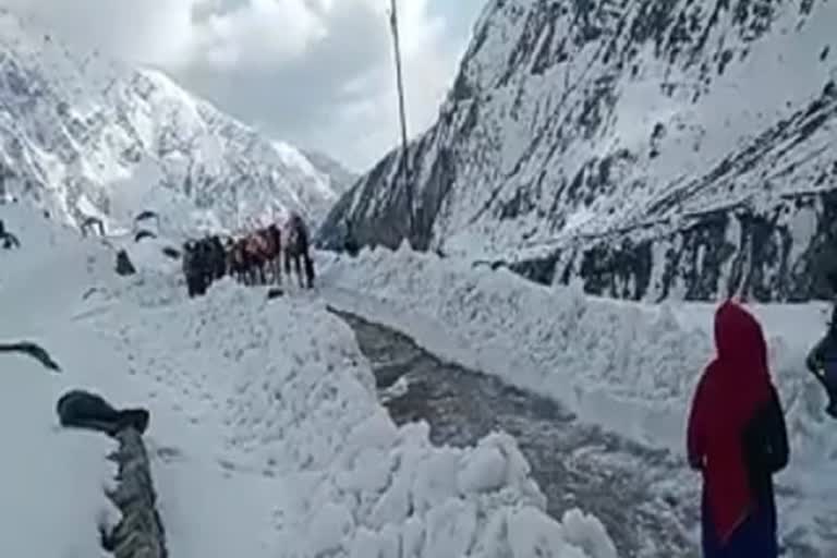 Char Dham Yatra he road is being prepared by cutting the 10 feet glaciers