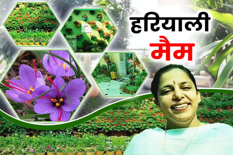 mp greenery maam