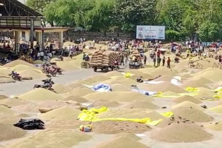 Coriander market of Ramganjmandi