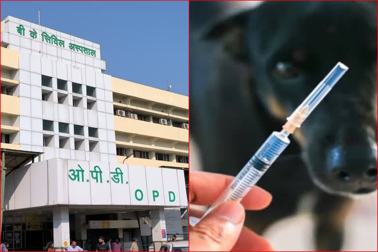 anti rabies vaccine in badshah khan hospital