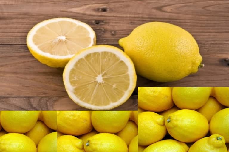 Lemon Price