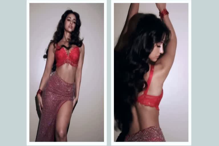 Disha Patani Hot Video: બોલ્ડ એક્ટ્રેસ દિશા પટનીનો હોટ વીડિયો થયો વાયરલ