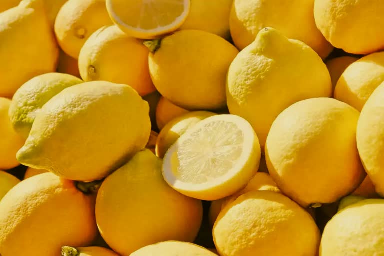 Lemon Price