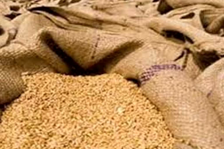 wheat procurement on MSP from 20 March, online registration begins