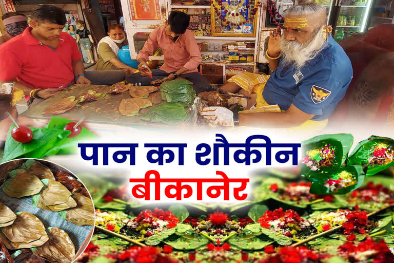 One Lakh Betel Leaves are Eaten Everyday