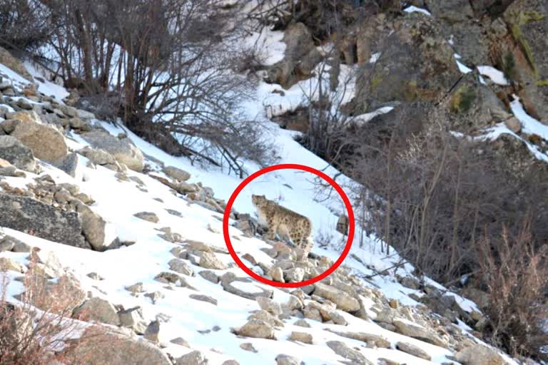 Gangotri National Park