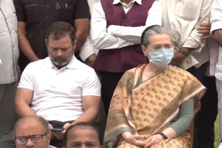 Rahul, Sonia Gandhi at Parliament protest