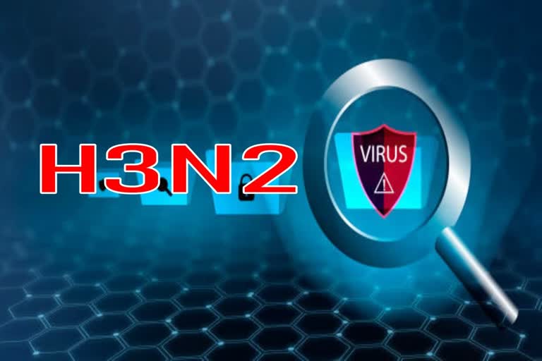 H3N2 ફ્લૂથી બચવા શું કરવું અને આ વાઈરસ કેટલો ખતરનાક છે, જૂઓ