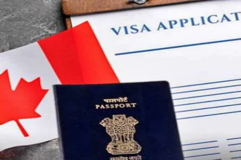 Canada deports 700 Punjabi students; The reason is travel agent fraud