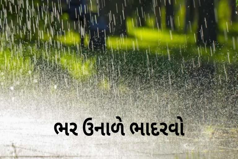 Unseasonal Rain : રાજ્યમાં કરા સાથે કમોસમી વરસાદથી ક્યાક શિમલા જેવા દ્રશ્યો પણ ખેડૂતોને ઉપાદીનો માર