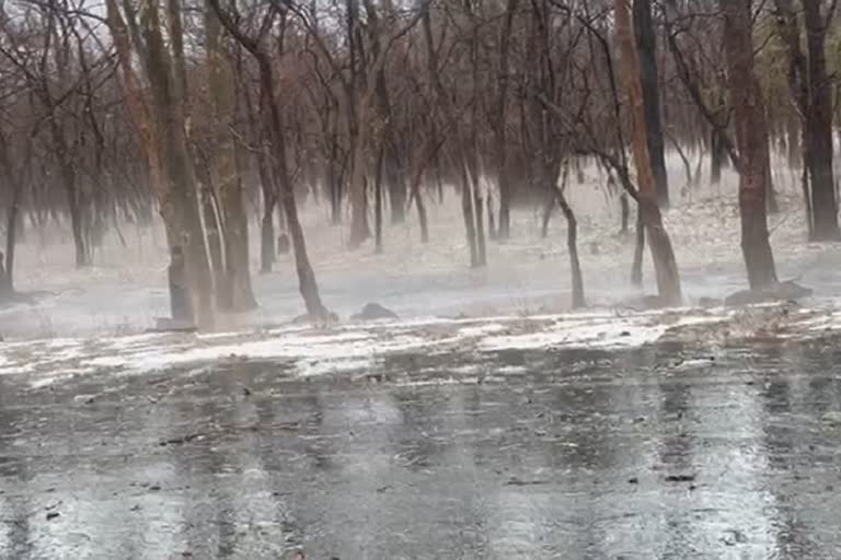 hailstorm in kanker