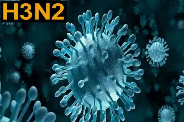 H3N2 Influenza Virus