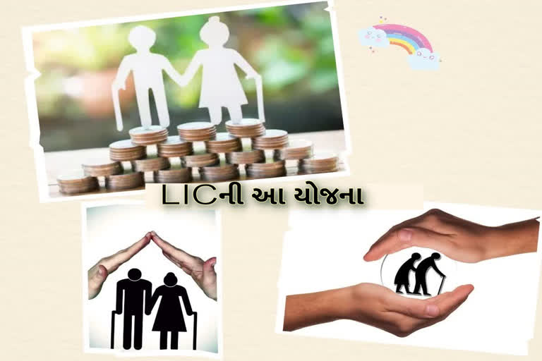 Etv BharatSENIOR CITIZENS PENSION SCHEME